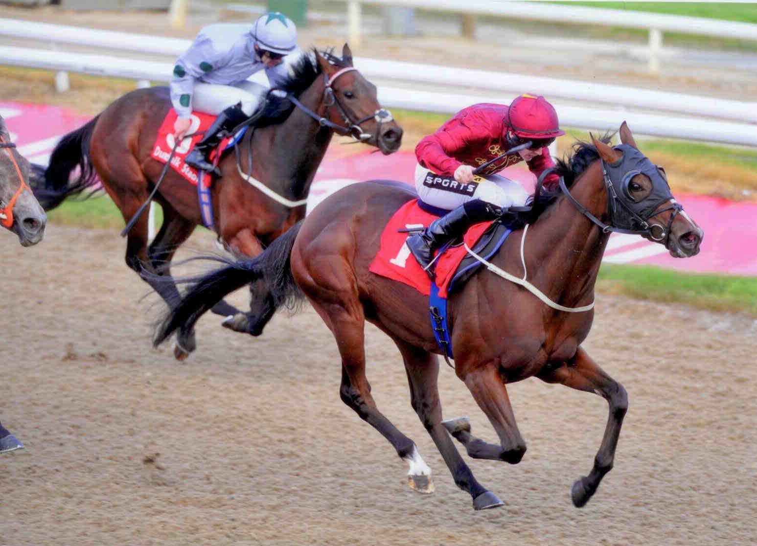BIRDCAGE gets back to winning ways at Dundalk on September 25th, 2015